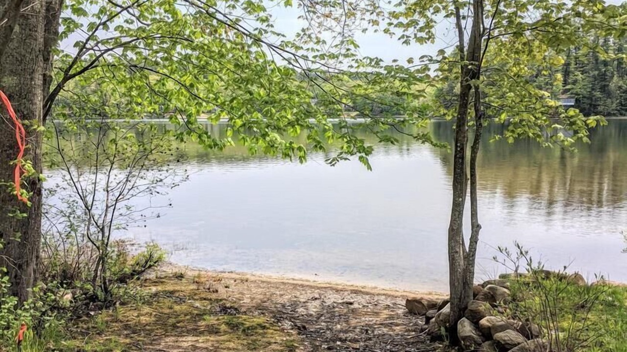 Photo of Others in Lochmere
