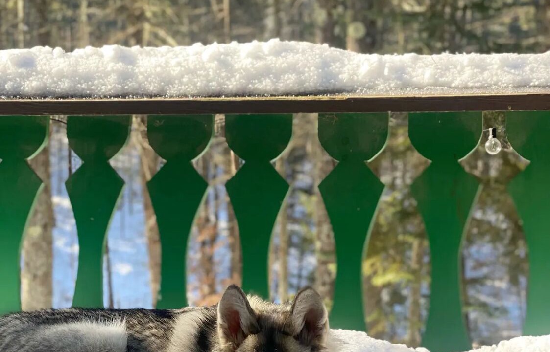 Photo of Outdoor in Jay