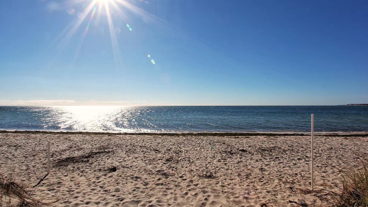 Photo of Others in West Hyannisport