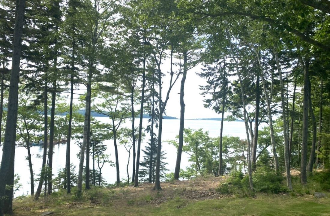 Photo of Others in Mid-Coast and Islands
