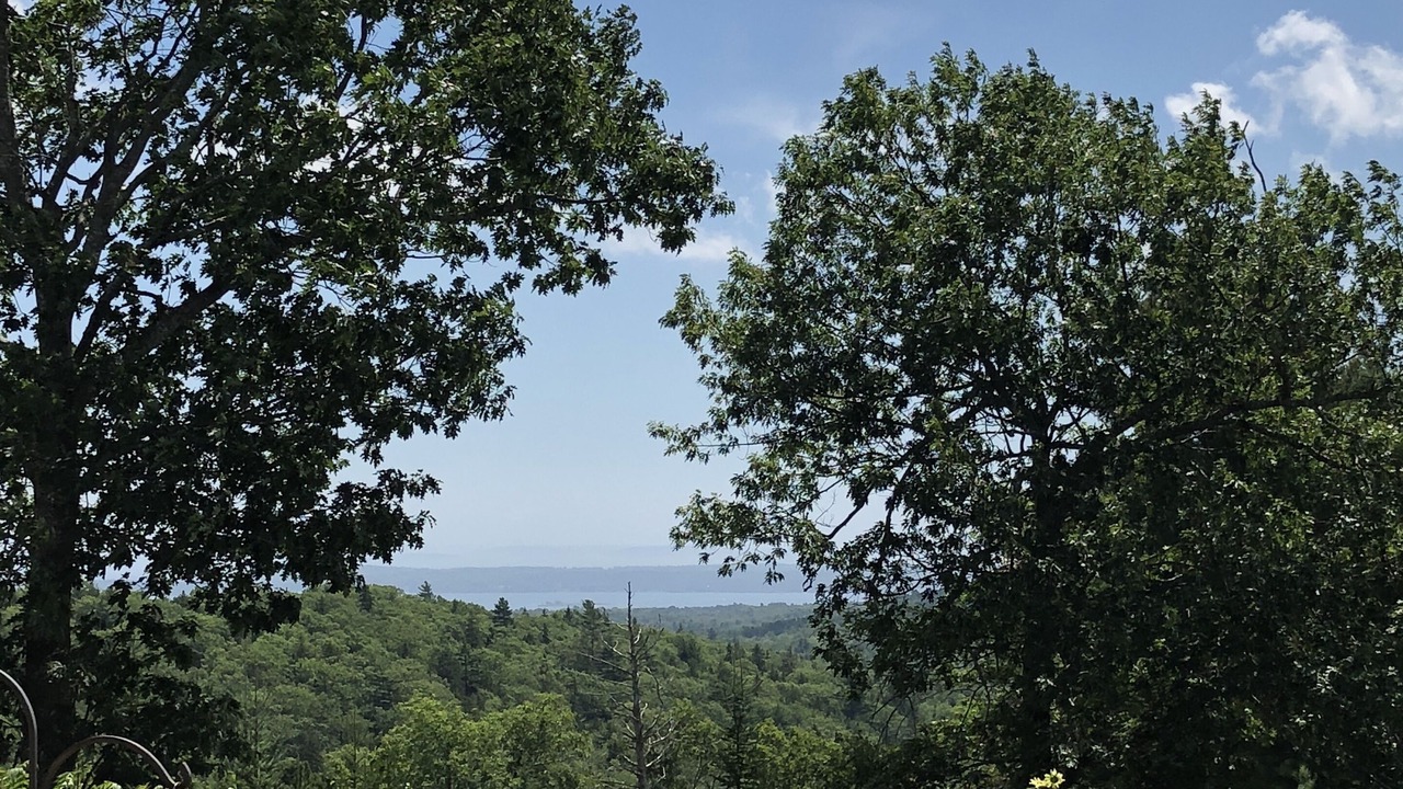 Photo of Others in Northport