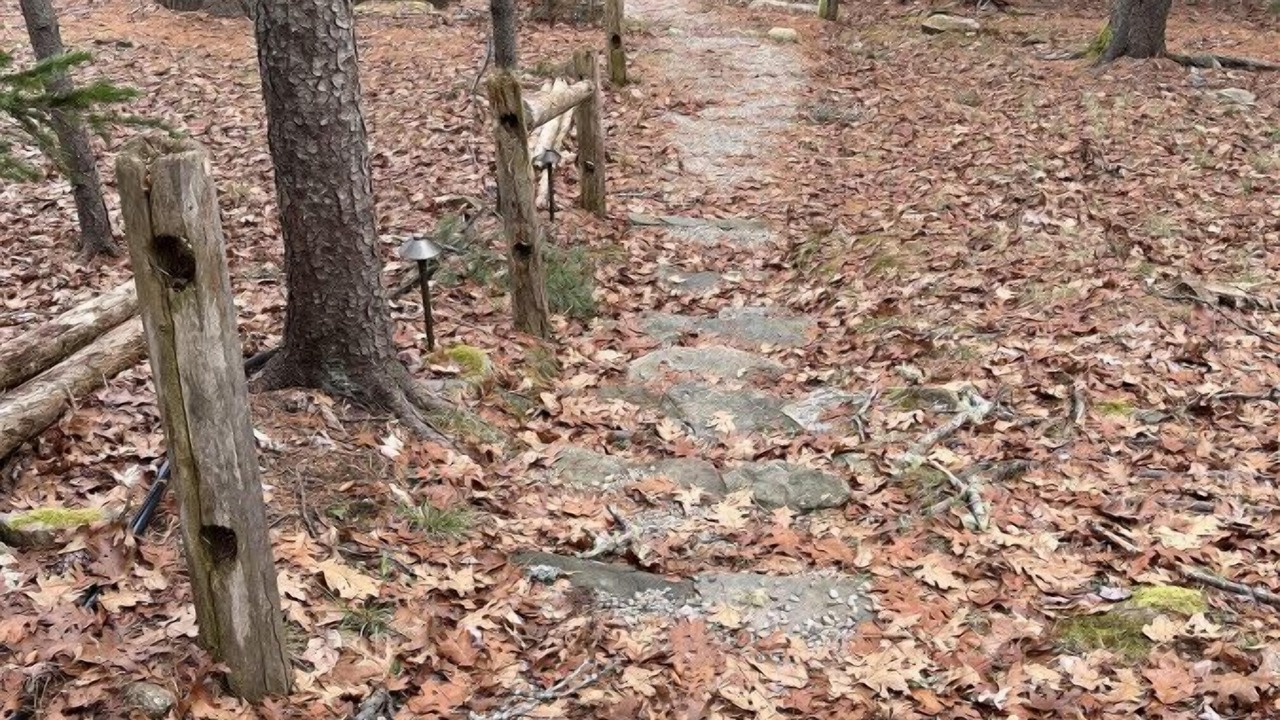Photo of Outdoor in Bayville