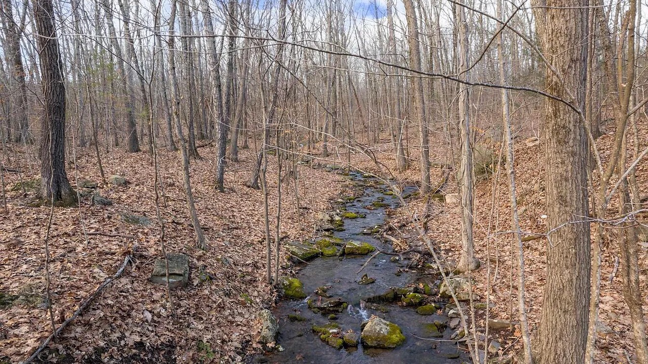 Photo of Others in Catskill