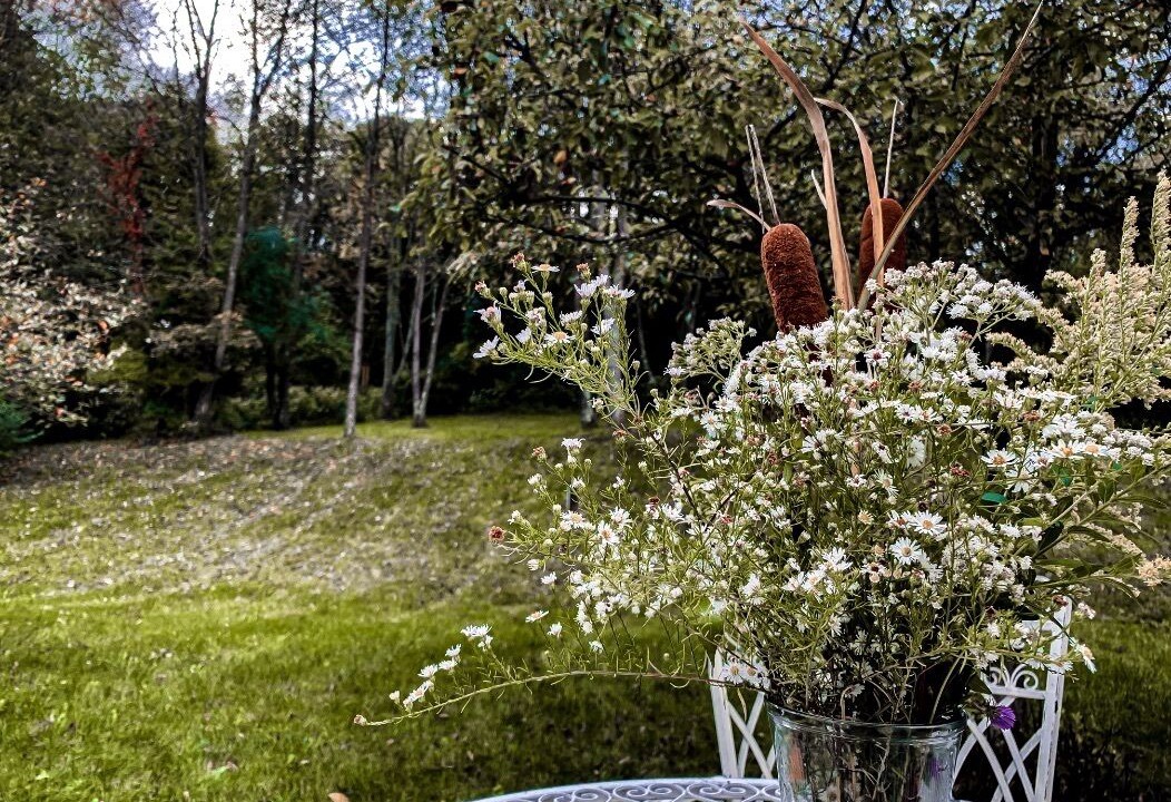 Photo of Outdoor in Stanfordville