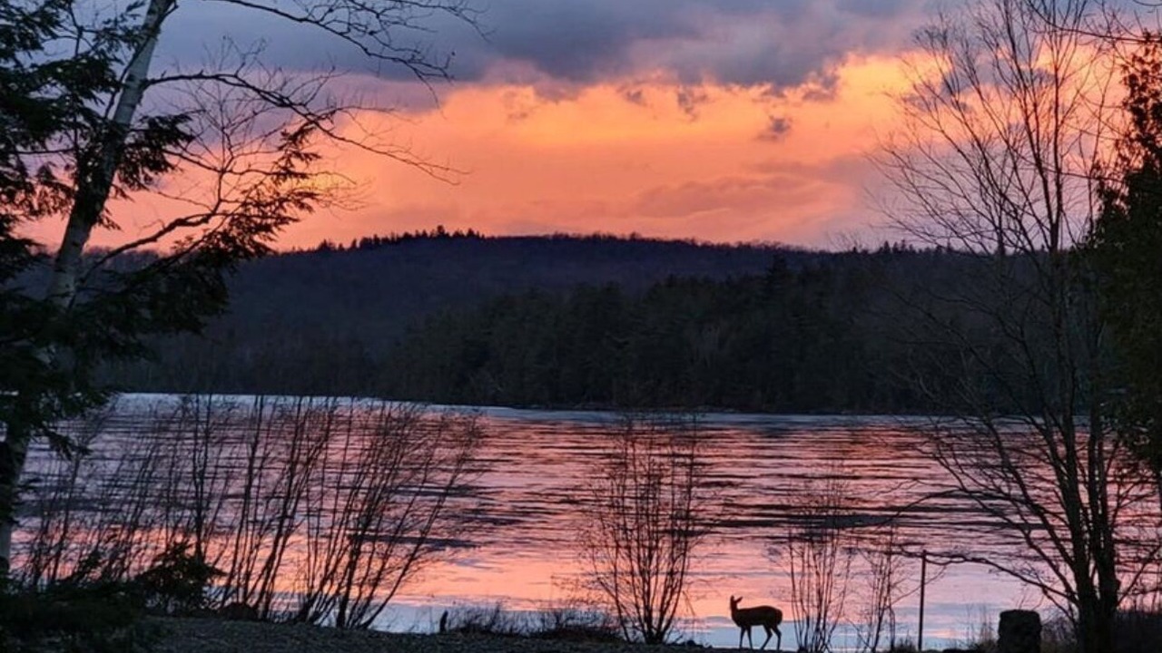 Photo of Outdoor in Saranac Lake