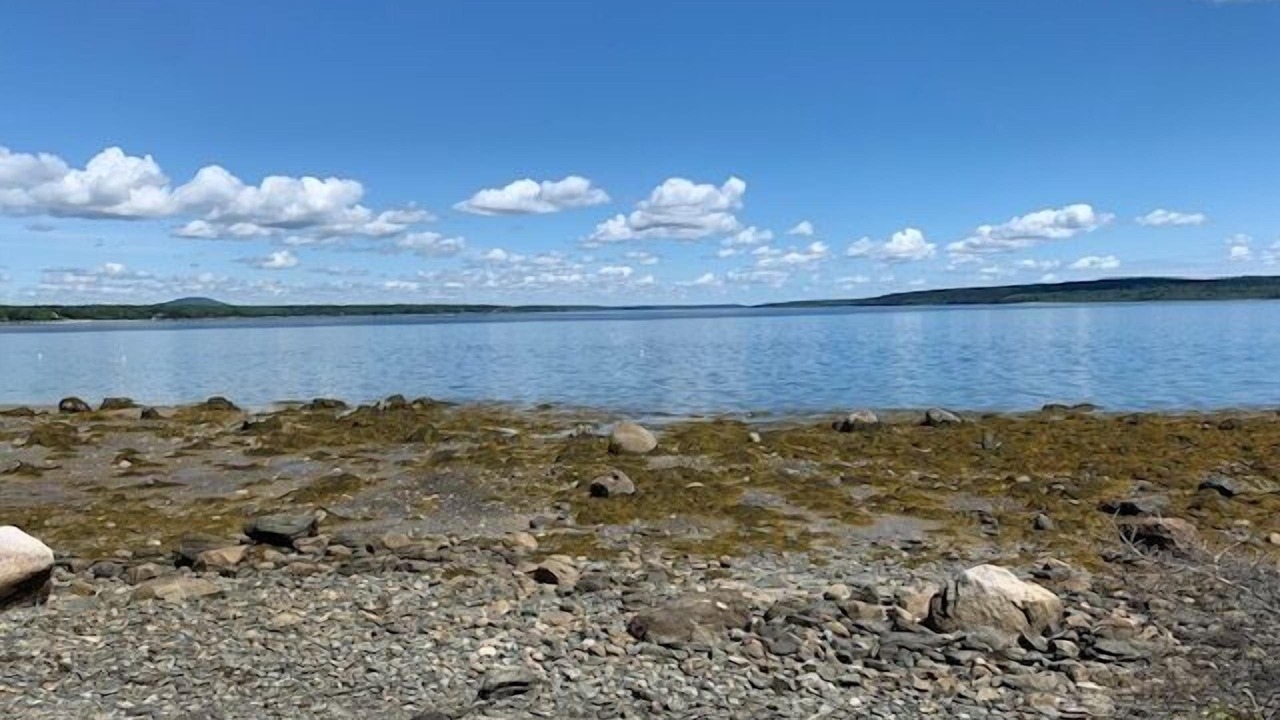 Photo of Others in North Brooklin