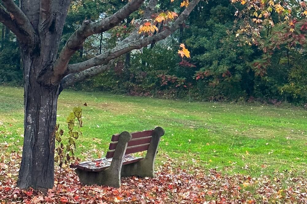 Photo of Others in Newfane