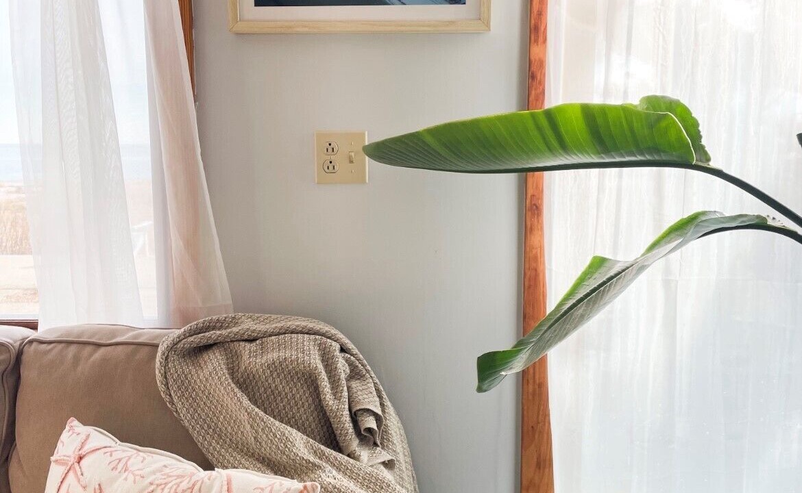 Photo of Livingroom in Devon