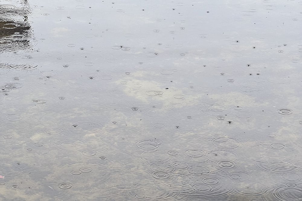 Photo of Outdoor in Denmark