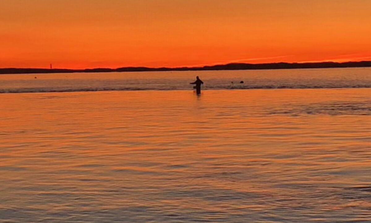 Photo of Others in Barnstable