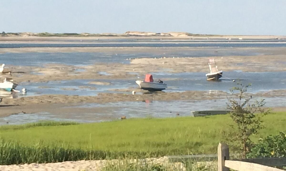 Photo of Others in Barnstable