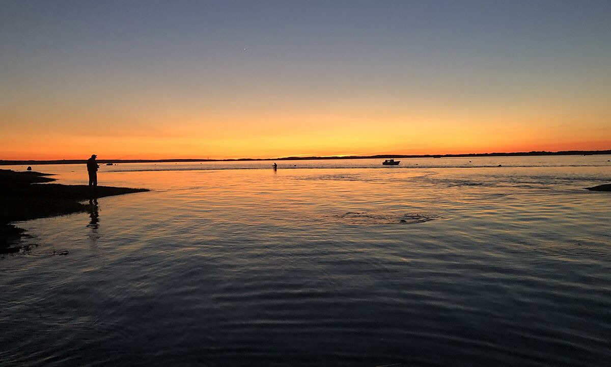 Photo of Others in Barnstable