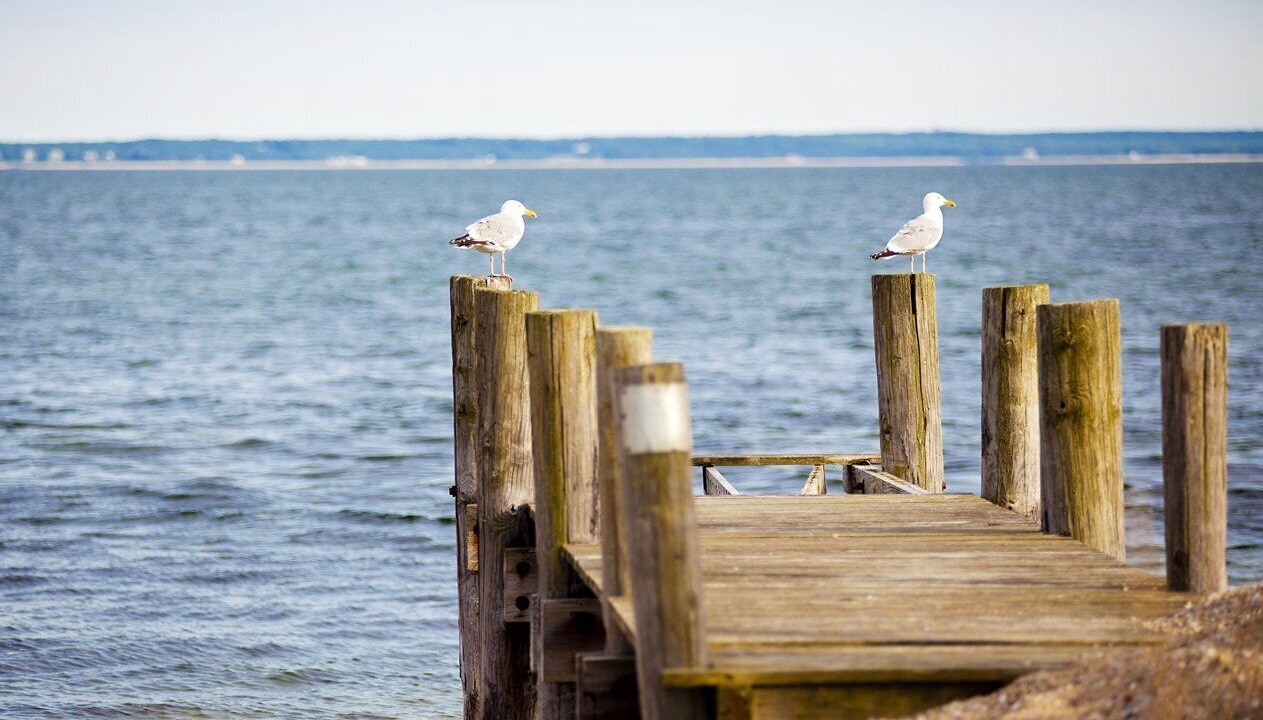 Photo of Others in East Falmouth