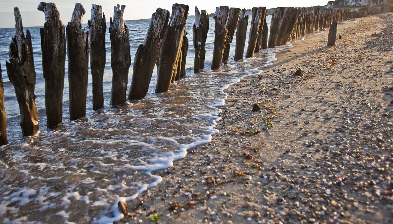 Photo of Others in East Falmouth