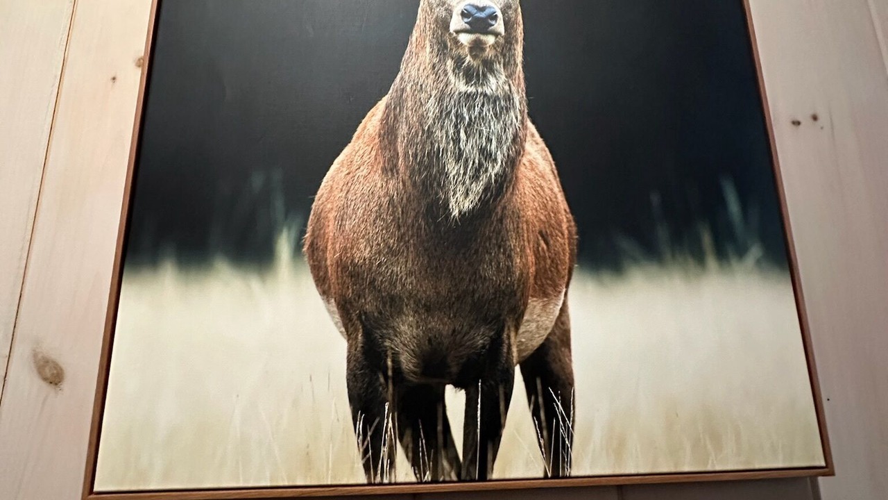 Photo of Others in Sandisfield