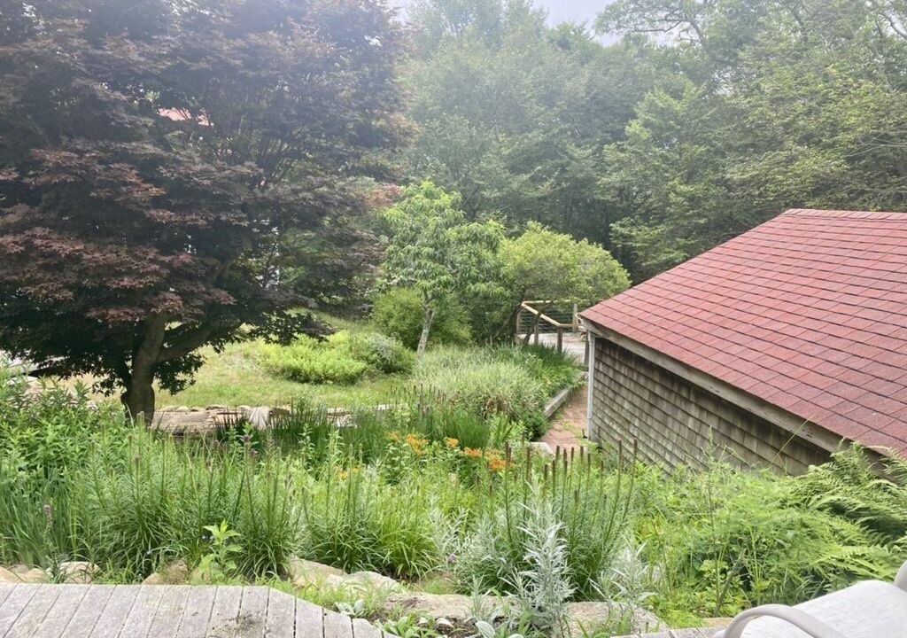 Photo of Outdoor in West Tisbury