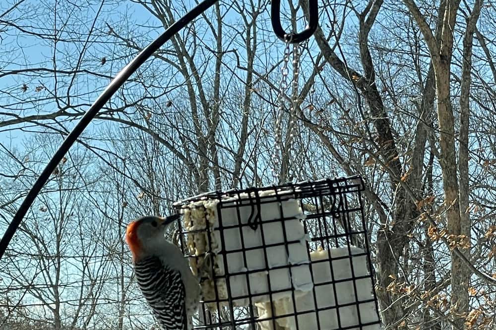 Photo of Outdoor in Lakeville