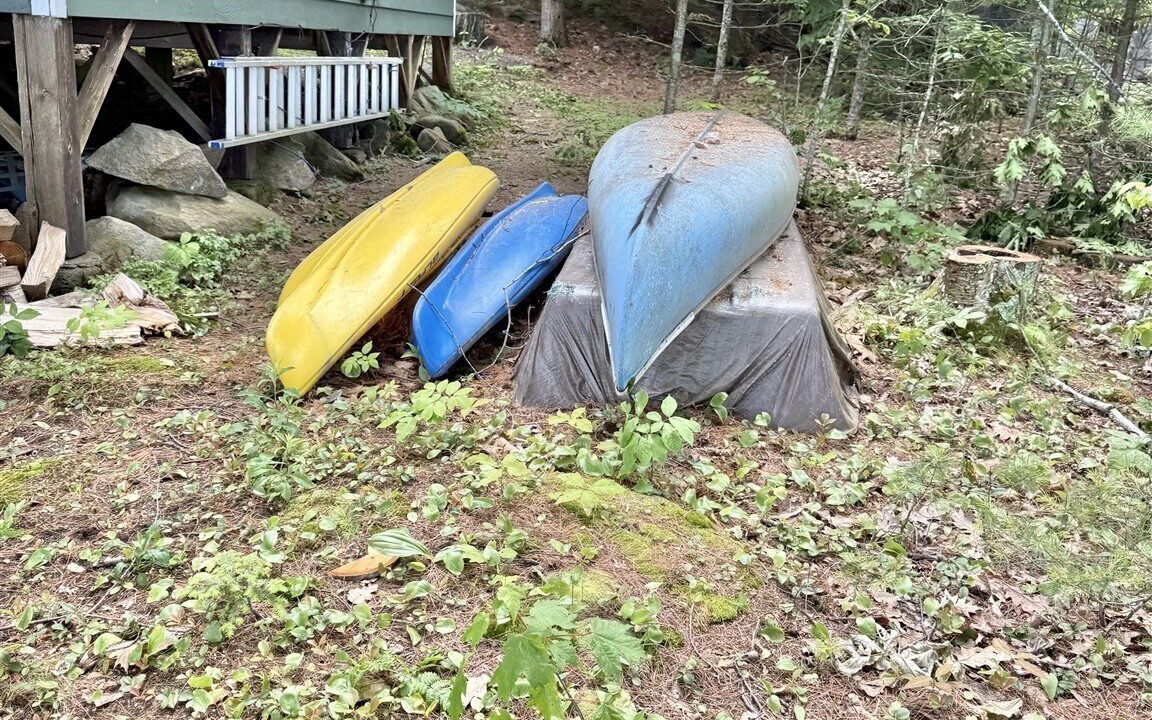 Photo of Others in Sebago