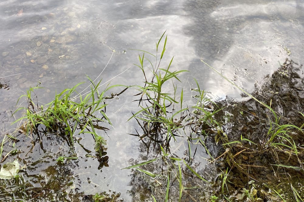 Photo of Outdoor in West Poland