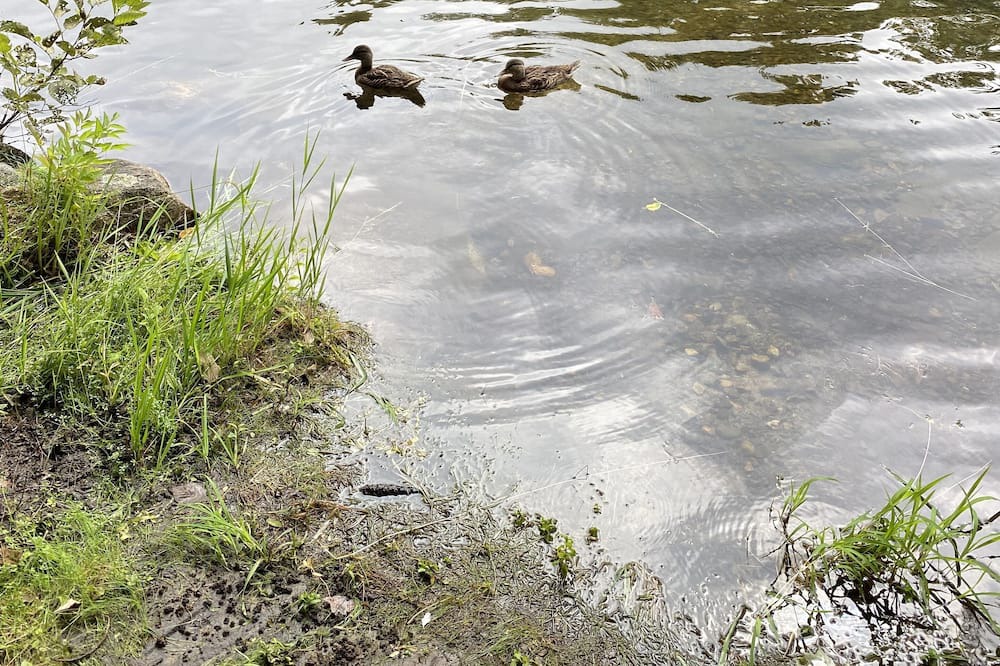 Photo of Outdoor in West Poland