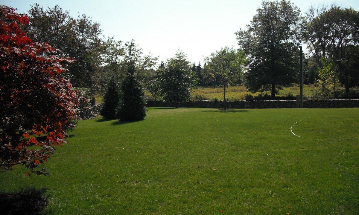 Photo of Others in Adamsville