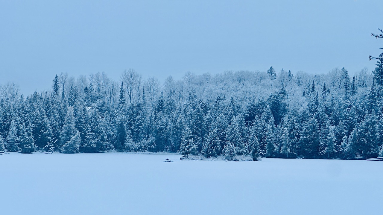 Photo of Others in Wentworth-Nord