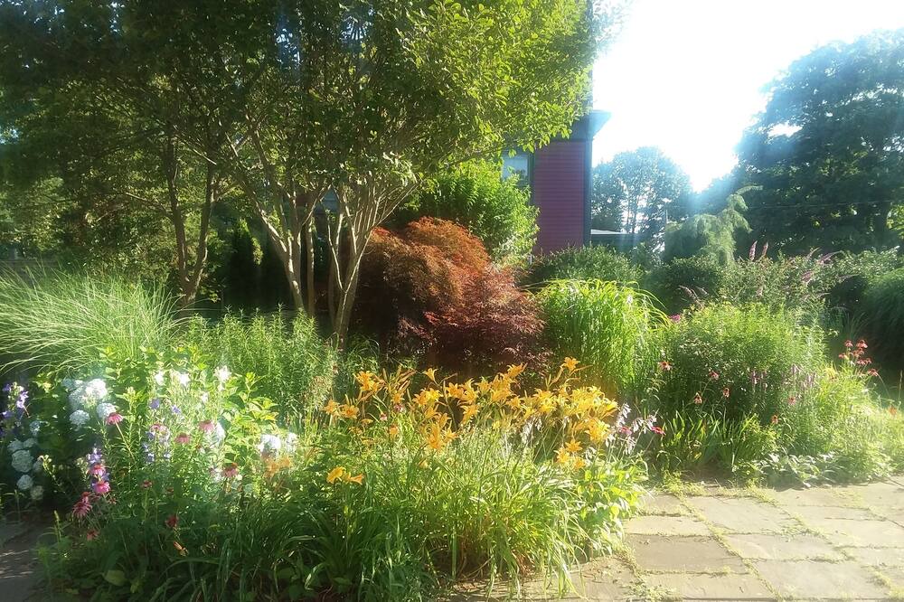 Photo of Outdoor in New London