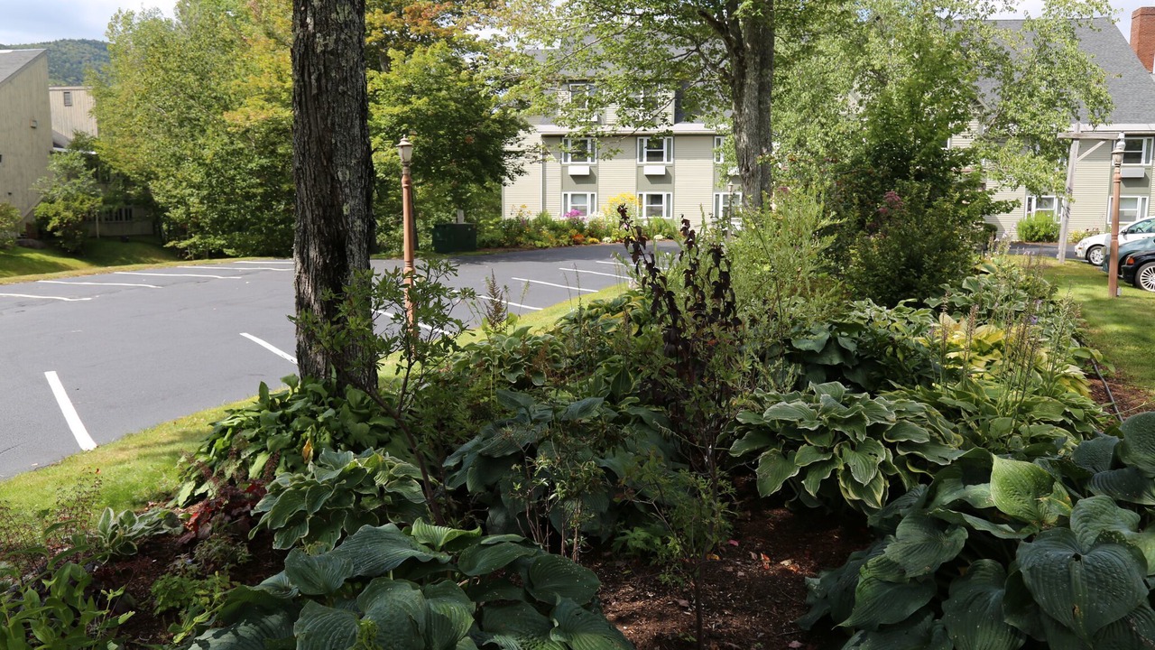Photo of Others in Waterville Valley