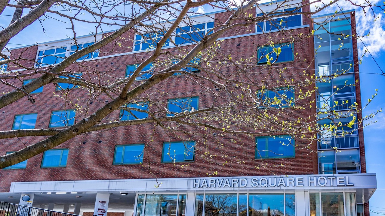 Photo of Outdoor in West Cambridge