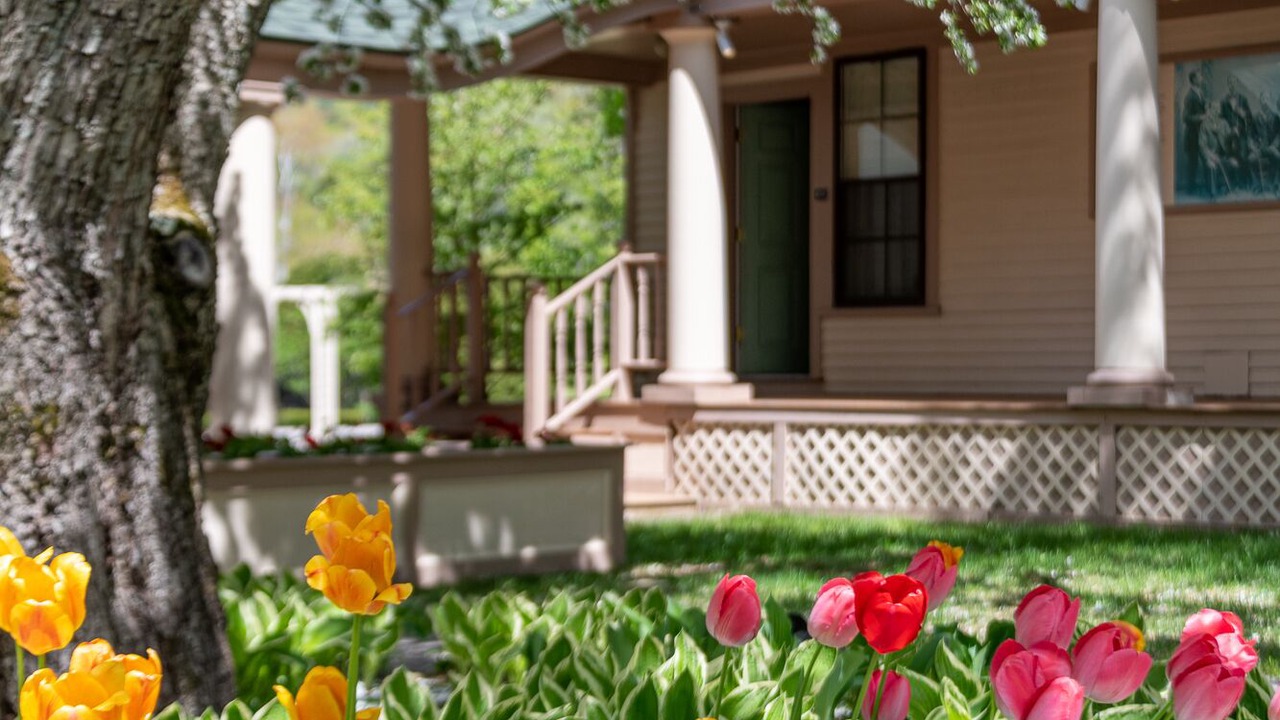 Photo of Outdoor in Jackson