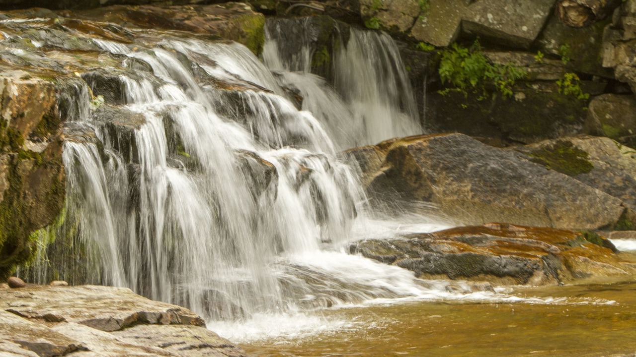 Photo of Outdoor in Jackson