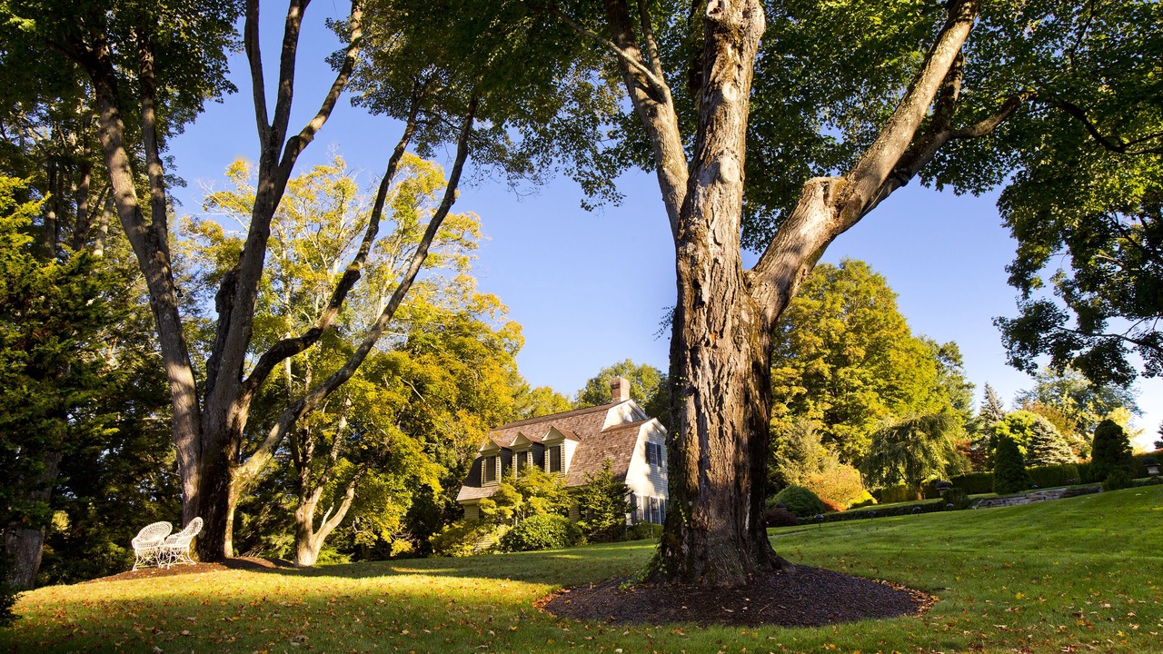 Photo of Outdoor in Washington