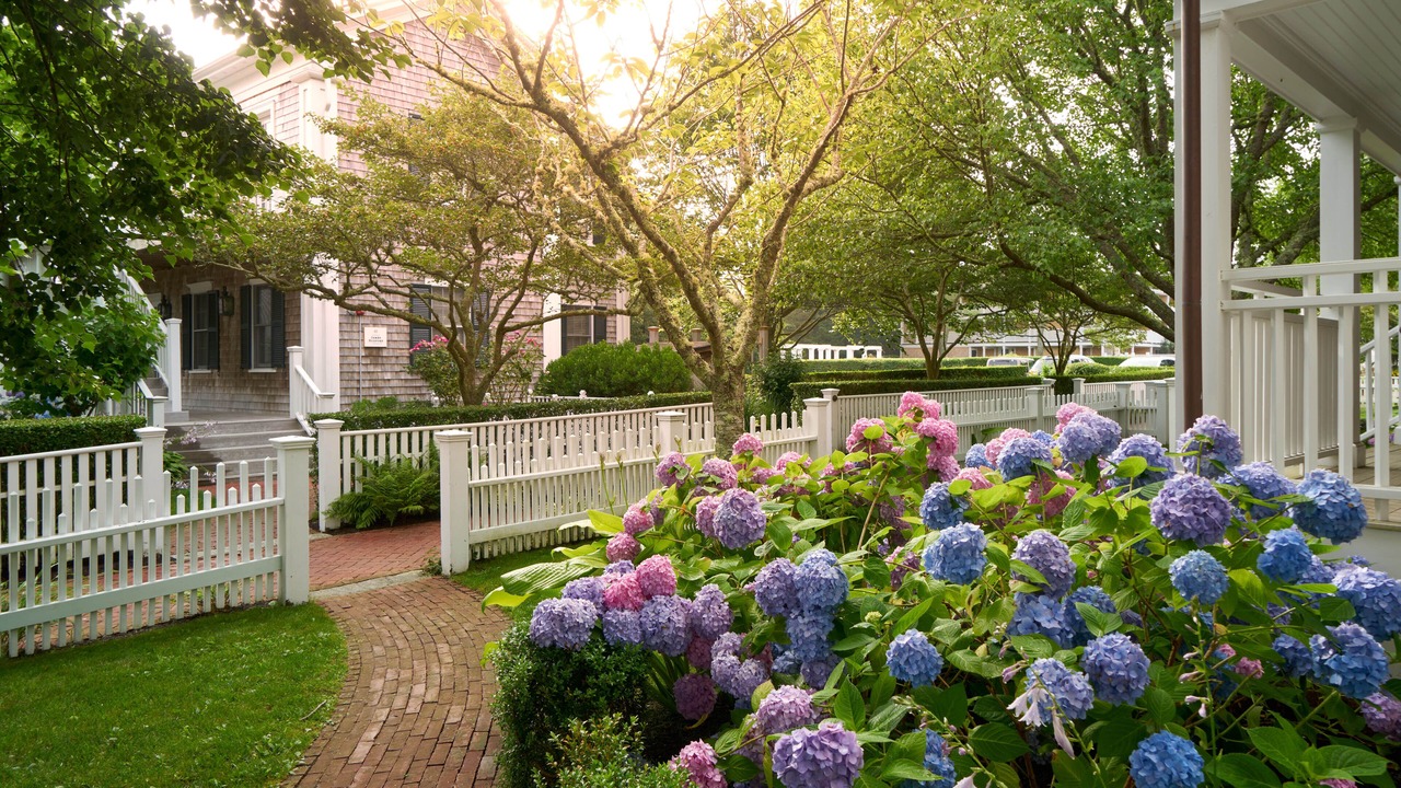 Photo of Outdoor in Edgartown