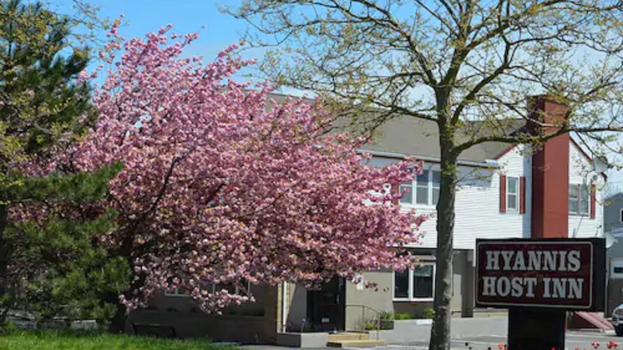 Photo of Outdoor in Hyannis