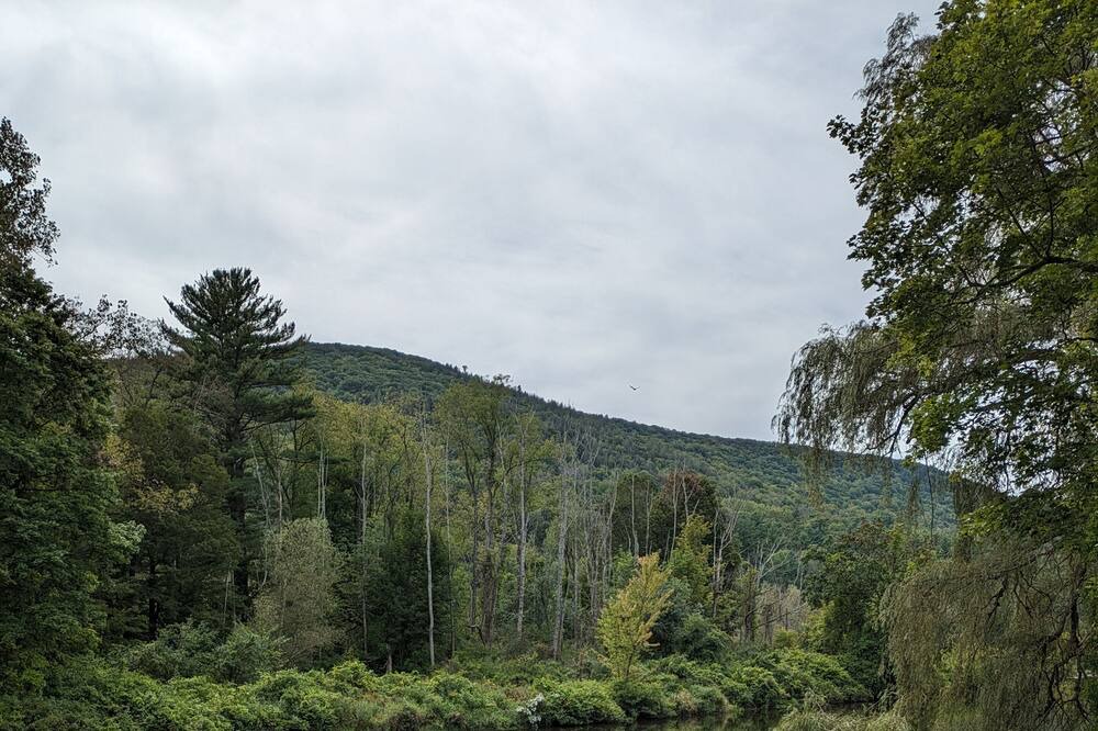 Photo of Outdoor in Lee