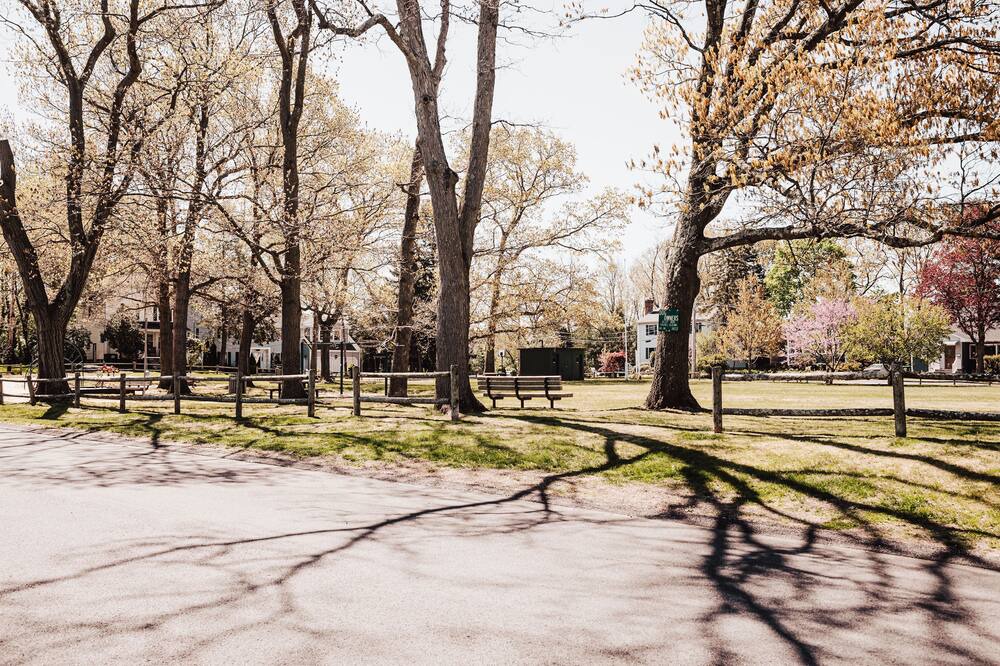 Photo of Outdoor in Needham