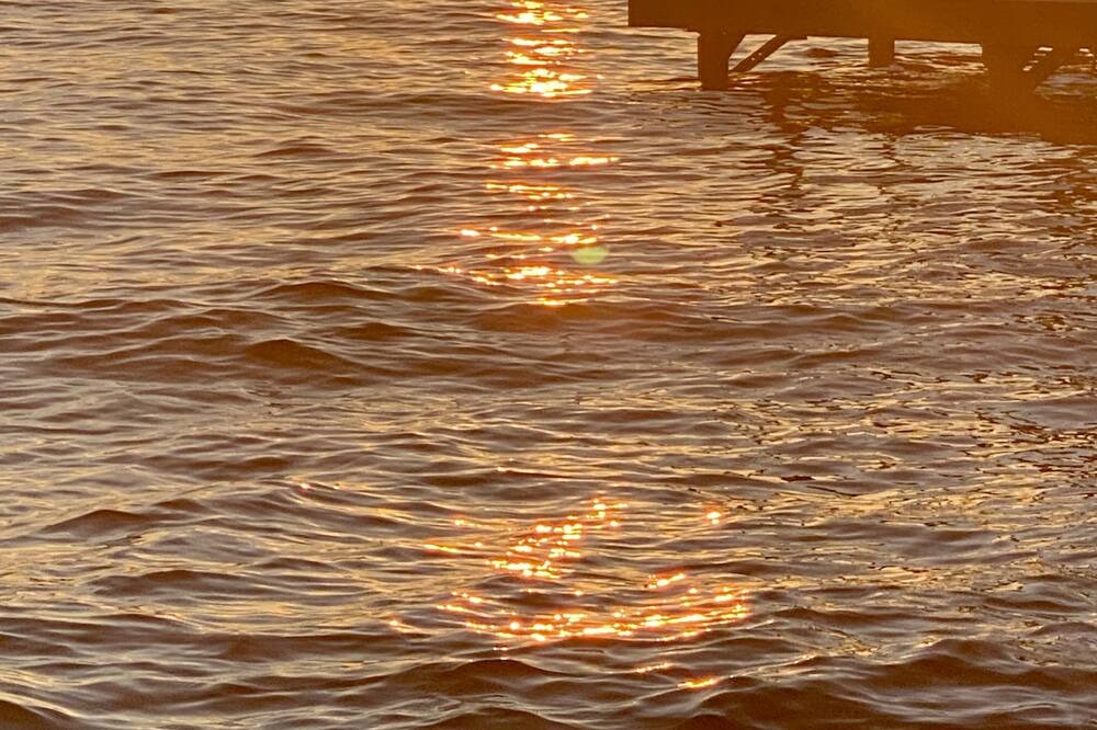 Photo of Others in Canandaigua