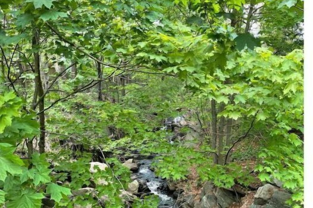 Photo of Others in Briarcliff Manor