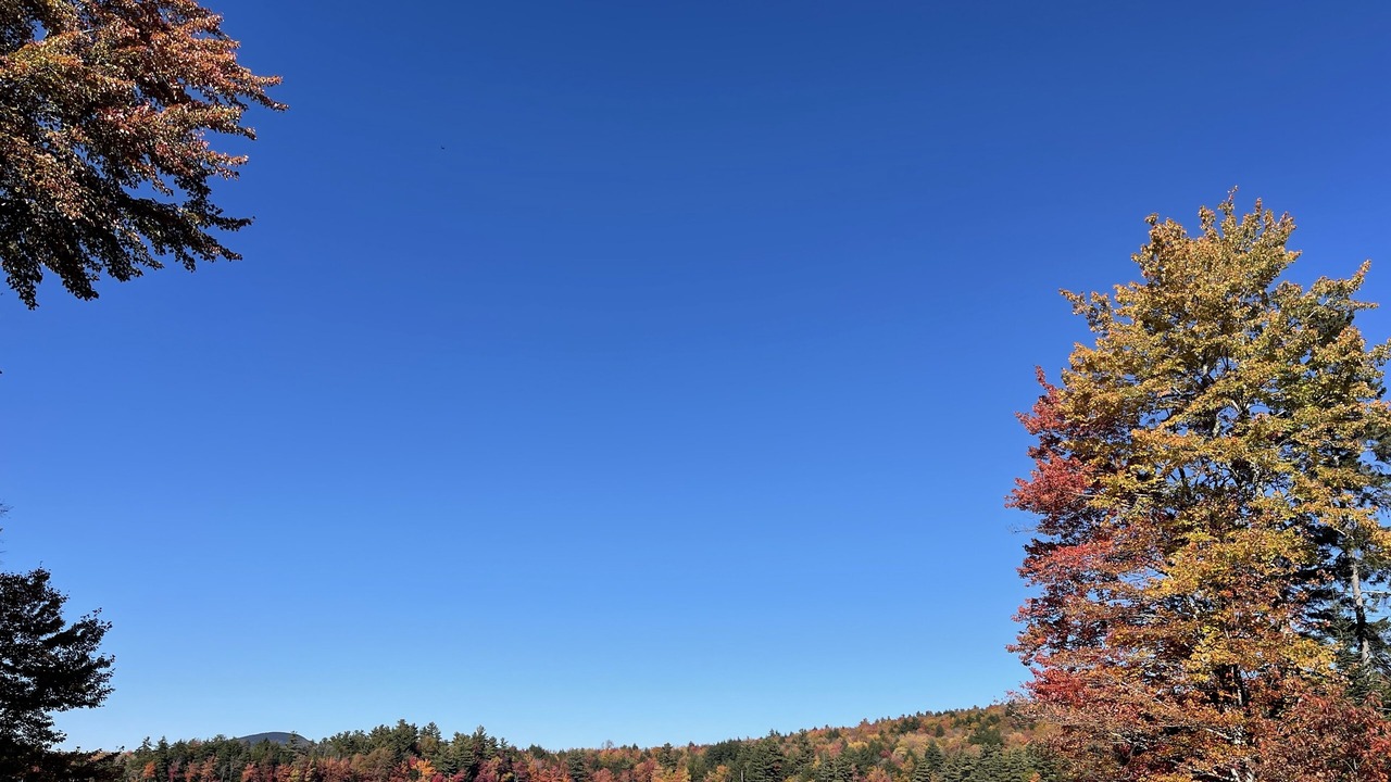 Photo of Outdoor in Washington