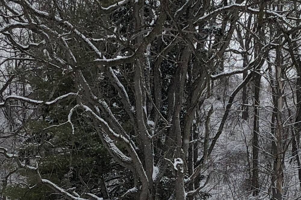 Photo of Outdoor in Palmyra