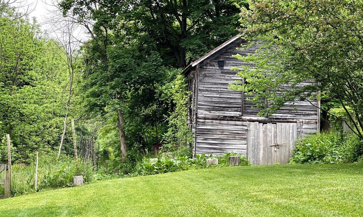 Photo of Outdoor in Pine Plains
