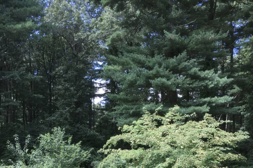 Photo of Outdoor in Glastonbury
