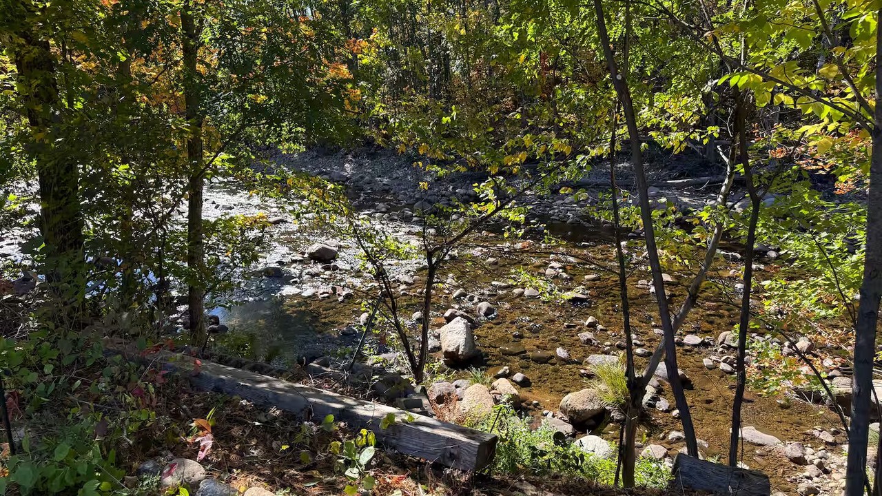 Photo of Outdoor in Bartlett