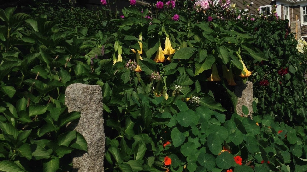 Photo of Outdoor in Ogunquit