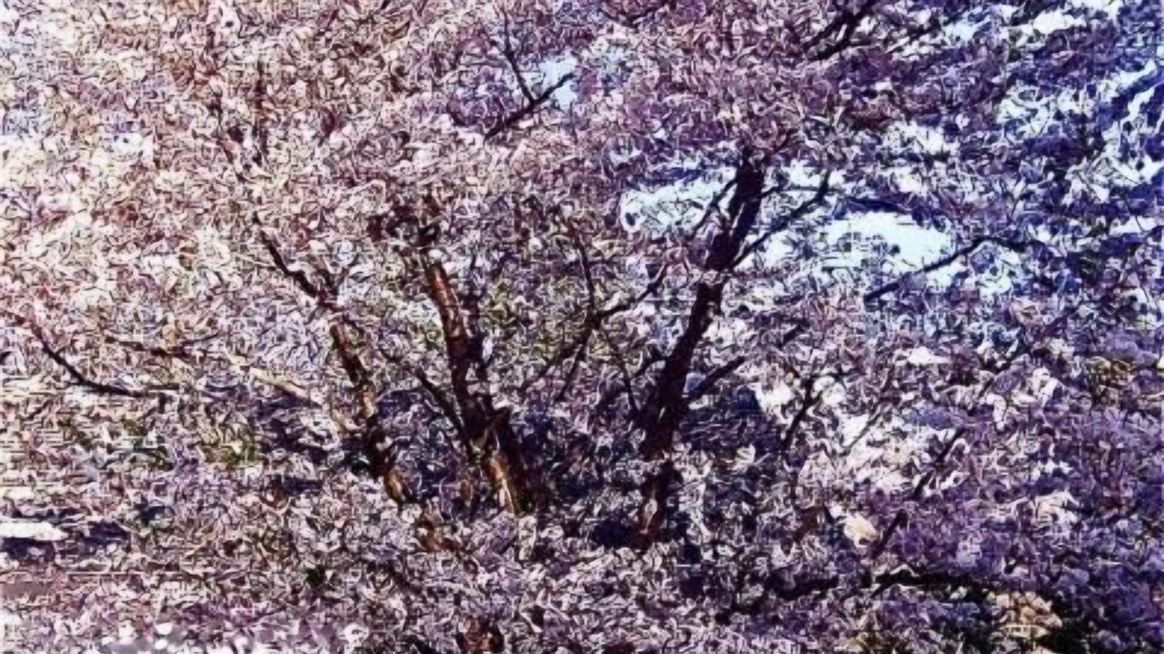 Photo of Outdoor in Millbrook