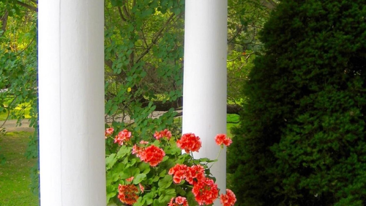 Photo of Outdoor in Millbrook