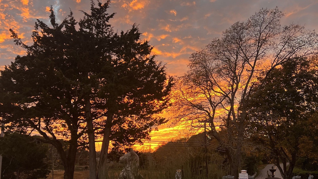 Photo of Outdoor in Wellfleet