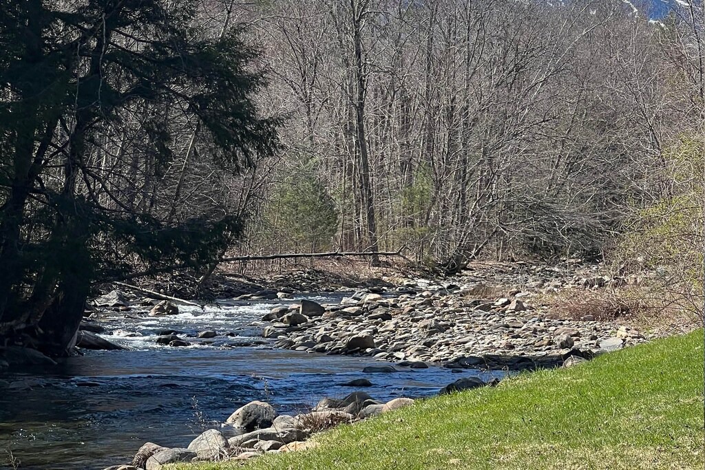 Photo of Others in Stowe Area