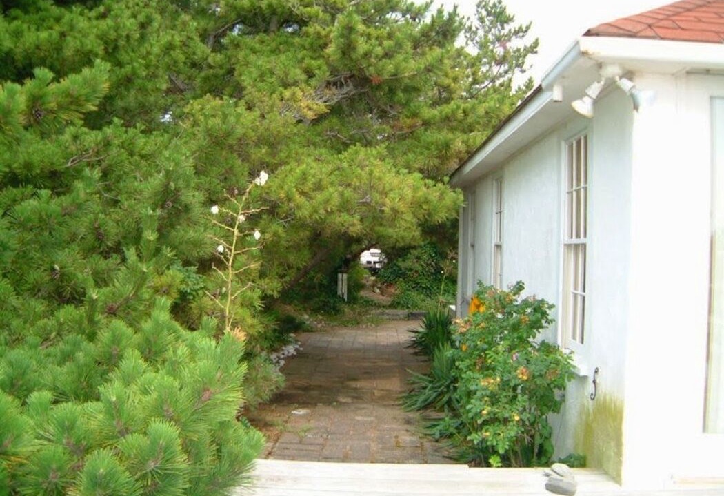 Photo of Others in North Truro