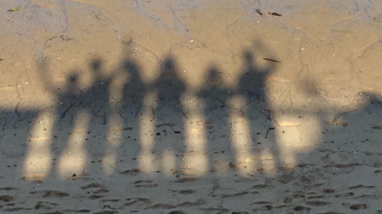 Photo of Others in North Truro